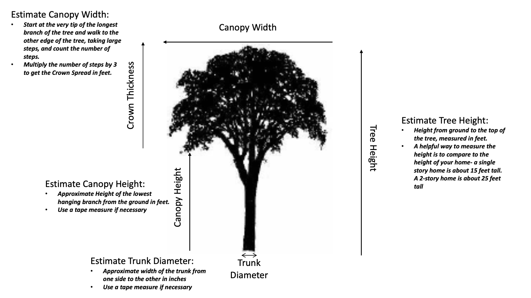 The numbers of woody plants with maximum crown width in a specific size